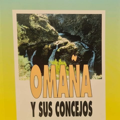 OMAÑA Y SUS CONCEJOS, de PEREZ ALVAREZ, MARIA JOSE | portada del libro