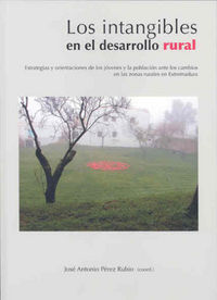 Los "intangibles" en el desarrollo rural. Estrategias y orientaciones de los jóvenes y la población, de Varios autores | port