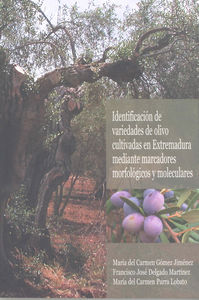Identificación de variedades de olivo cultivadas en Extremadura mediante marcadores morfológicos y m, de Gómez Jiménez | port