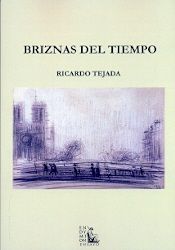 Briznas del tiempo, de Tejada Mínguez | portada del libro