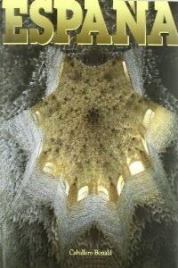 ESPAÑA, de CABALLERO BONALD, JOSE MARIA | portada del libro