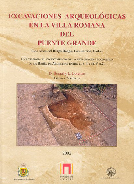 EXCAVACIONES ARQUEOLOGICAS EN LA VILLA ROMANA DEL PUENTE GRANDE (LOS ALTOS DEL RINGO RANGO, LOS BARR, de BERNAL | portada del