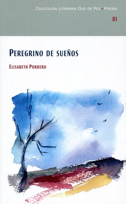 PEREGRINO DE SUEÑOS, de ELISABETH PORRERO | portada del libro