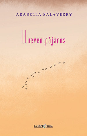 Llueven pájaros, de Salaverry | portada del libro