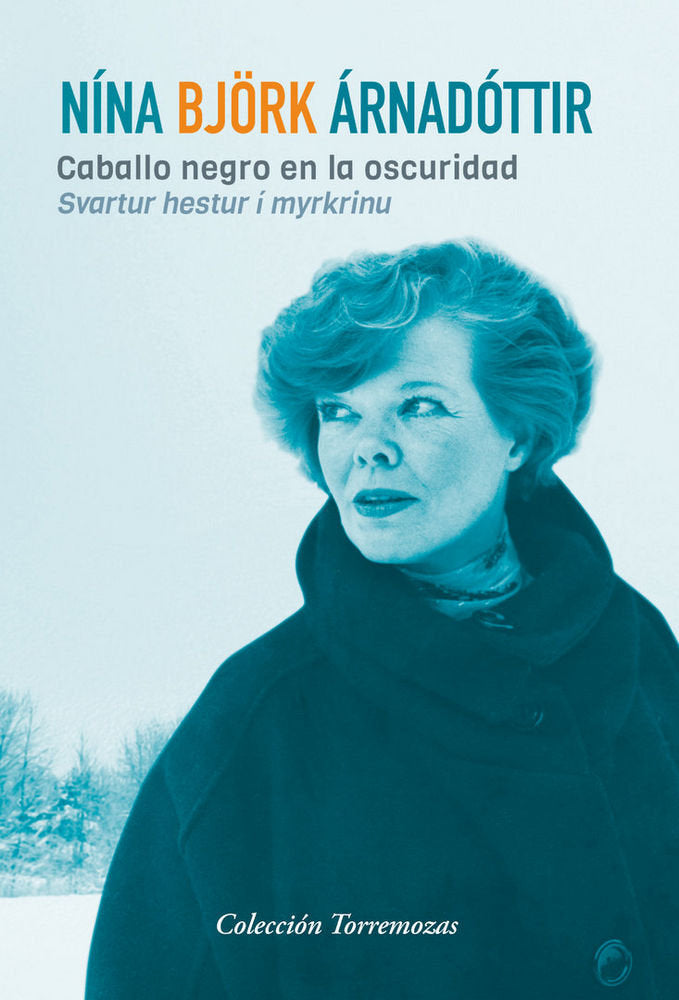 Caballo negro en la oscuridad, de Nina Bjork Arnadottirá | portada del libro