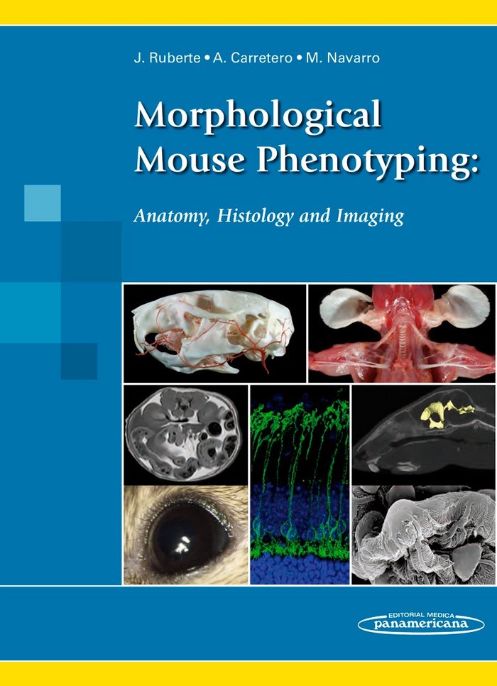 RUBERTE:Morphological Mouse Phenotyping, de RUBERTE PARIS,, JESUS | portada del libro