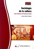 Sociolog¡a de la cultura : una breve introducción, de Antonio Martín Cabello | portada del libro