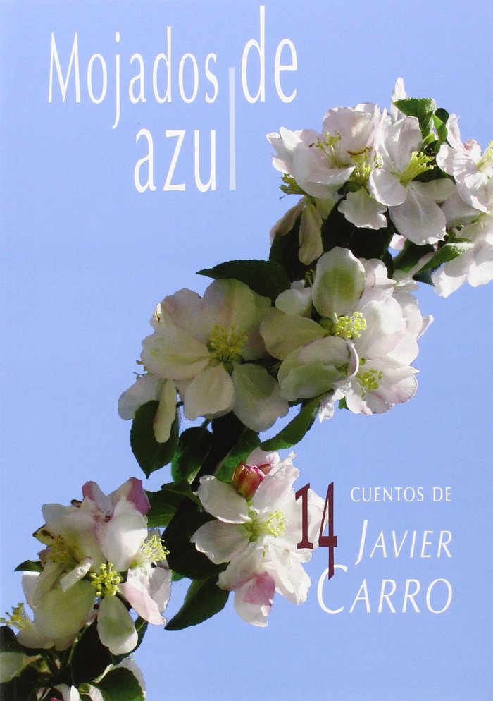 Mojados de azul, de Carro Rosende | portada del libro