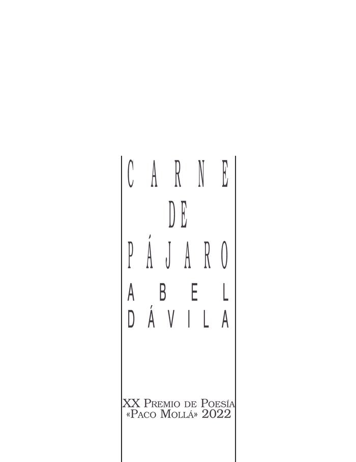 CARNE DE PAJARO, de DAVILA SABINA, ABEL | portada del libro