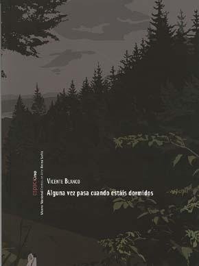 Vicente Blanco. Alguna vez pasa cuando estáis dormidos | portada del libro