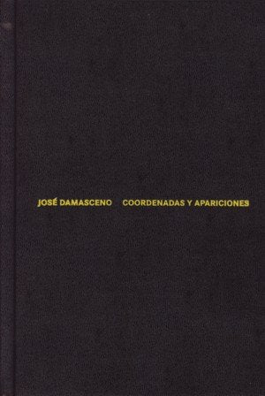 José Damasceno. Coordenadas y apariciones | portada del libro