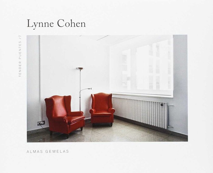 Almas gemelas, de Cohen | portada del libro