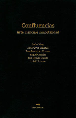 Confluencias, de Viver Gómez | portada del libro