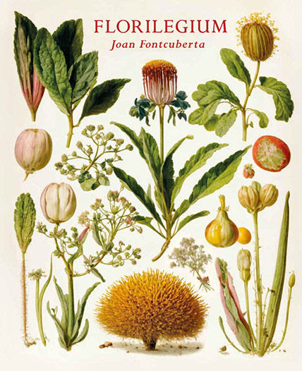 FLORILEGIUM, de FONTCUBERTA, JOAN | portada del libro