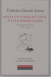 SOLO UN CABALLO AZUL UNA MADRUGADA  *, de García Lorca | portada del libro