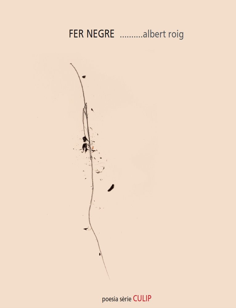 FER NEGRE, de ROIG, ALBERT | portada del libro