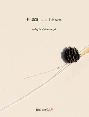 Fulgor, de CALVO | portada del libro