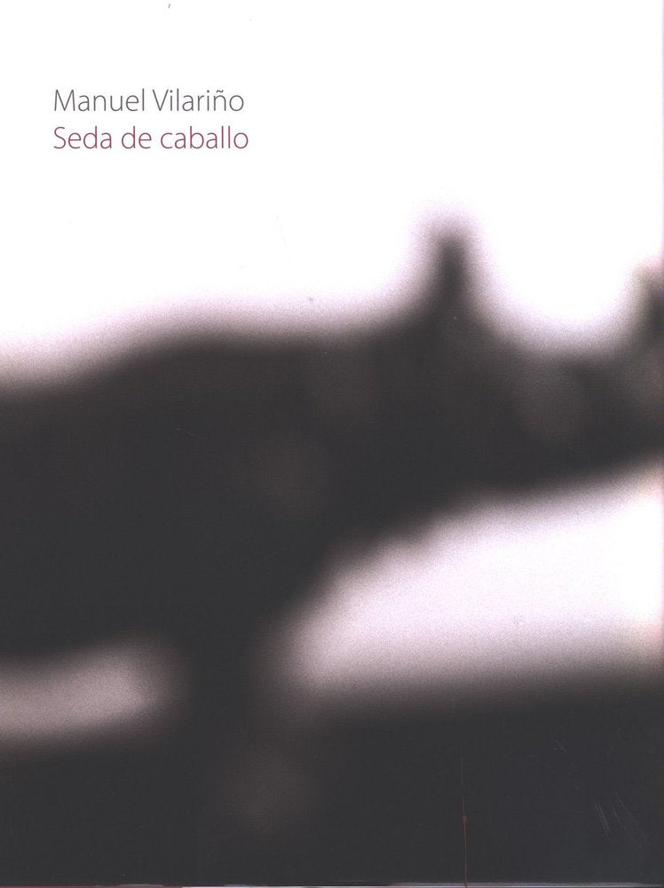Manuel Vilariño. Seda de caballo, de VILARIÑO, MANUEL | portada del libro