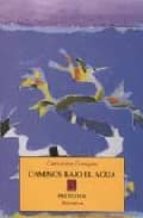 CAMINOS BAJO EL AGUA  PT-412, de Catherine François | portada del libro