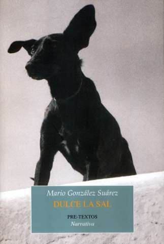 DULCE LA SAL PT-928, de GONZALEZ SUAREZ | portada del libro