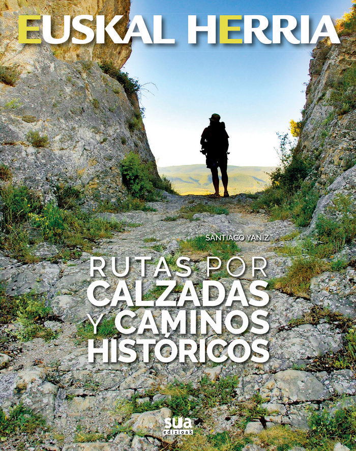 Rutas por calzadas y caminos históticos, de Yaniz Aramendia, Santiago | portada del libro