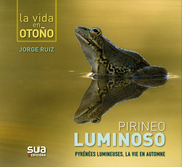Pirineo luminoso, de Ruiz del Olmo, Jorge | portada del libro