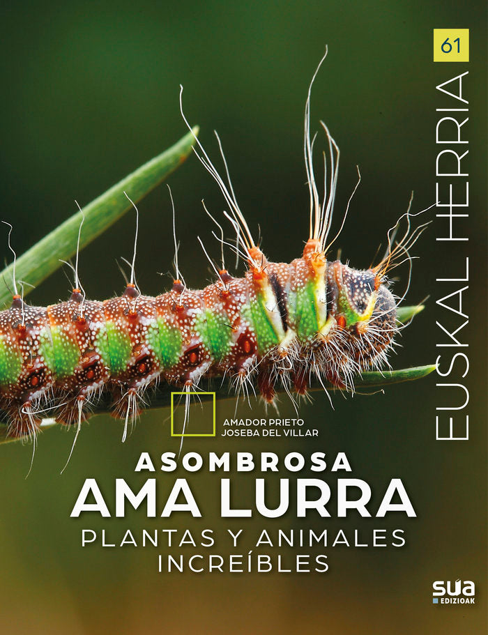 Asombrosa Ama Lurra, de PRIETO FERNANDEZ, AMADOR | portada del libro