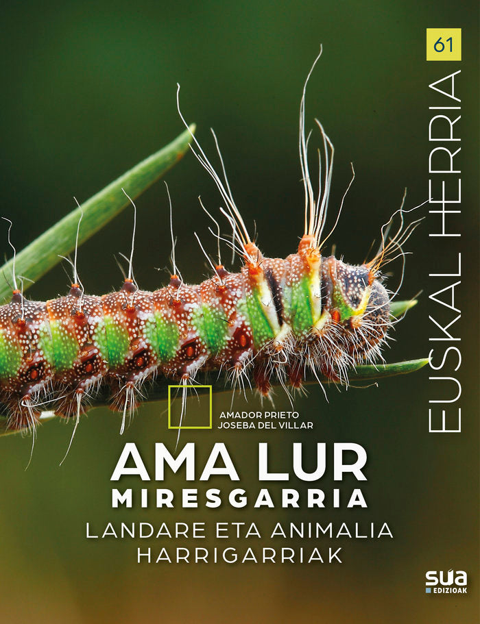 Ama lur miresgarria, de PRIETO FERNANDEZ, AMADOR | portada del libro