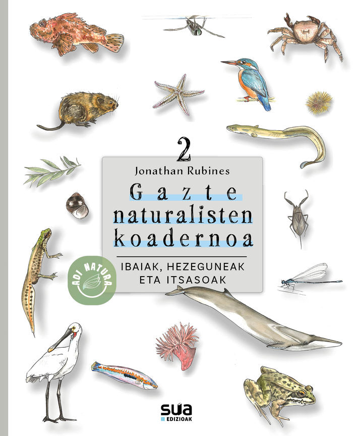 Ibaia, hezeguneak eta itsasoak, de RUBINES GARCIA, JONATHAN | portada del libro