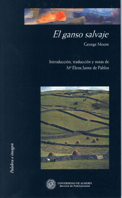 El ganso salvaje, de Jaime de Pablos | portada del libro