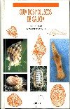Gu¡a dos moluscos de Galicia, de Otero-Schmitt | portada del libro