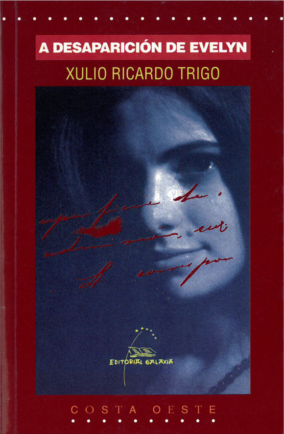 Desaparicion de evelyn, a, de Trigo, Xulio Ricardo | portada del libro