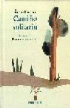 Camiûo solitario (os duros), de Ánxela Gracián | portada del libro