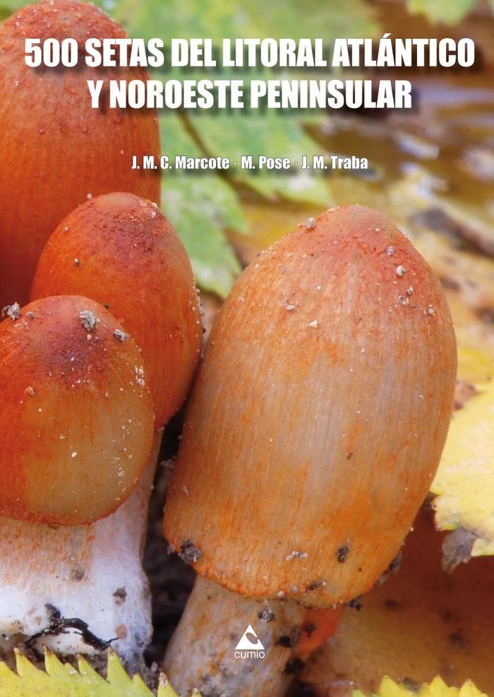 500 SETAS DEL LITORAL ATLÁNTICO Y NOROESTE PENINSULAR, de Castro Marcote, José Manuel | portada del libro