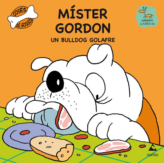 Míster Gordon, de CARREIRO & CARREIRO | portada del libro