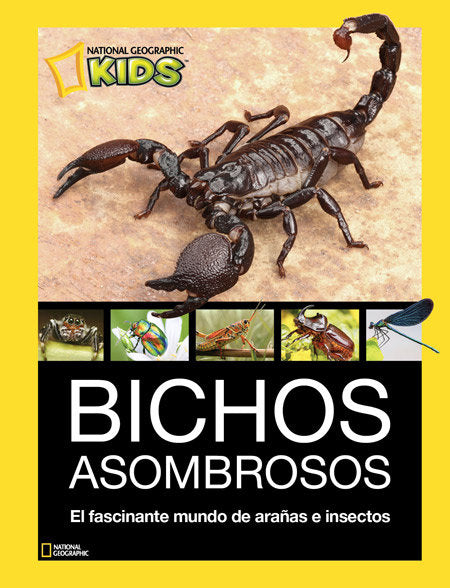 Bichos Asombrosos. El fascinante mundo de arañas e insectos., de Varios autores | portada del libro