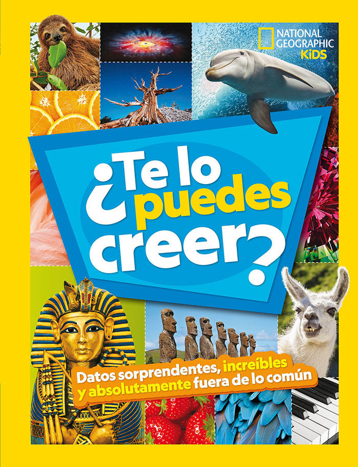 TE LO PUEDES CREER | portada del libro