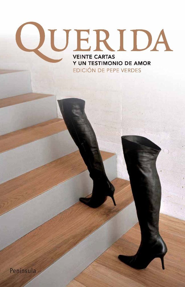Querida, de Verdes Vallejo, José Luis | portada del libro