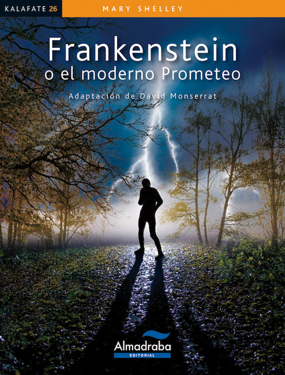 Frankenstein o el moderno Prometeo, de Shelley, Mary | portada del libro