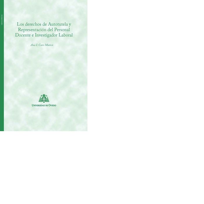 Los derechos de Autotutela y Representación del Personal Docente e Investigador Laboral, de Caro Muñoz | portada del libro