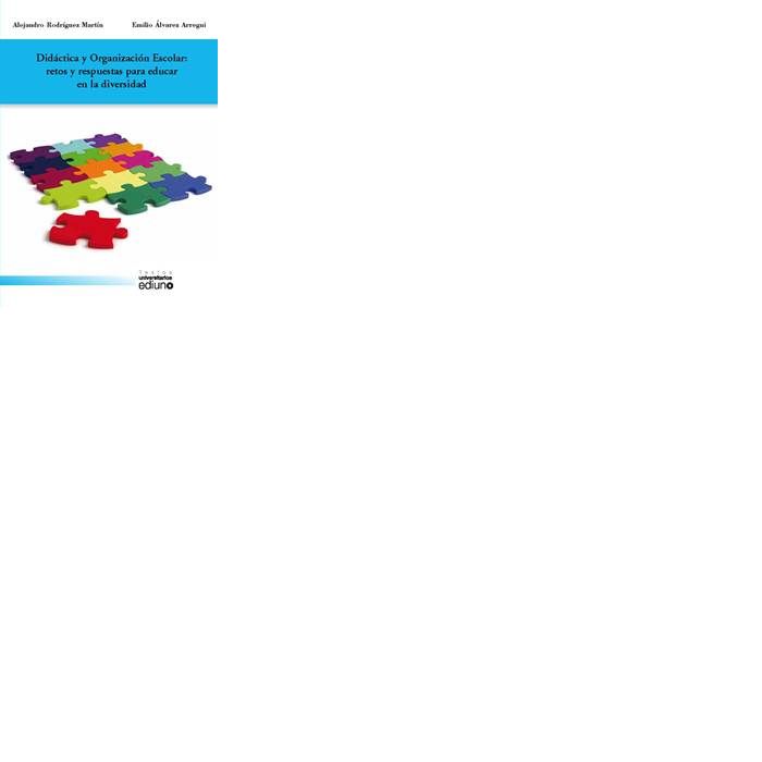 Didáctica y Organización Escolar: retos y respuestas para educar en la diversidad, de Rodríguez Martín | portada del libro