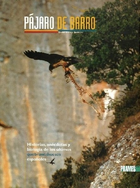 PAJARO DE BARRO | portada del libro