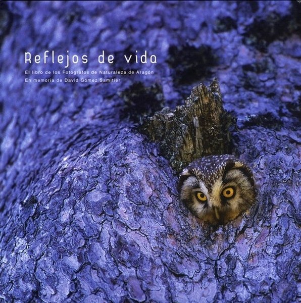 Reflejos de vida, de GOMEZ SAMITIER,D.[MEMORIA] | portada del libro