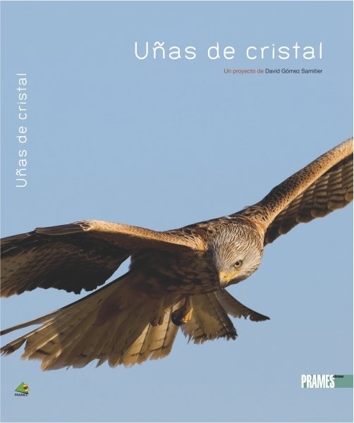 Uñas de cristal, de GOMEZ SAMITIER, DAVID | portada del libro