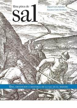 UNA PIZCA DE SAL, de MIGUEL CALVO REBOLLAR | portada del libro