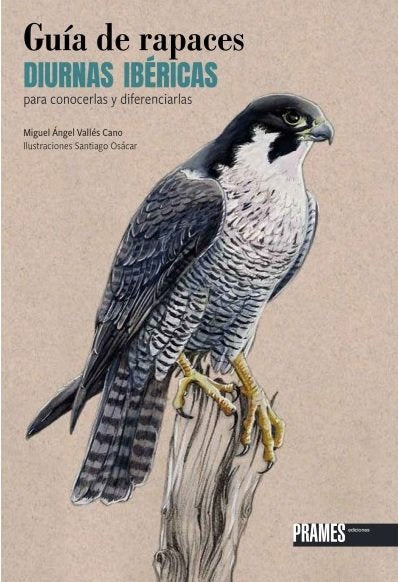 GUIA DE RAPACES DIURNAS IBERICAS PARA CONOCERLAS Y DIFERENCI, de MIGUEL ANGEL VALLES CANO | portada del libro