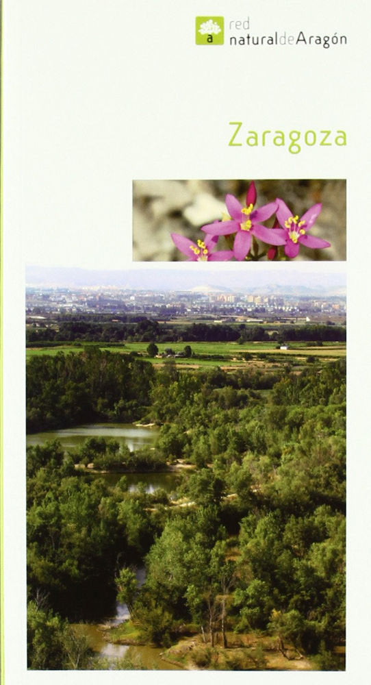 ZARAGOZA, de Varios autores | portada del libro