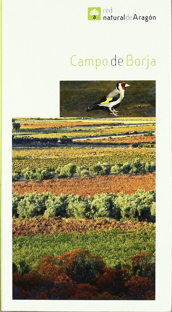 CAMPO DE BORJA, de RUIZ SANCHEZ | portada del libro