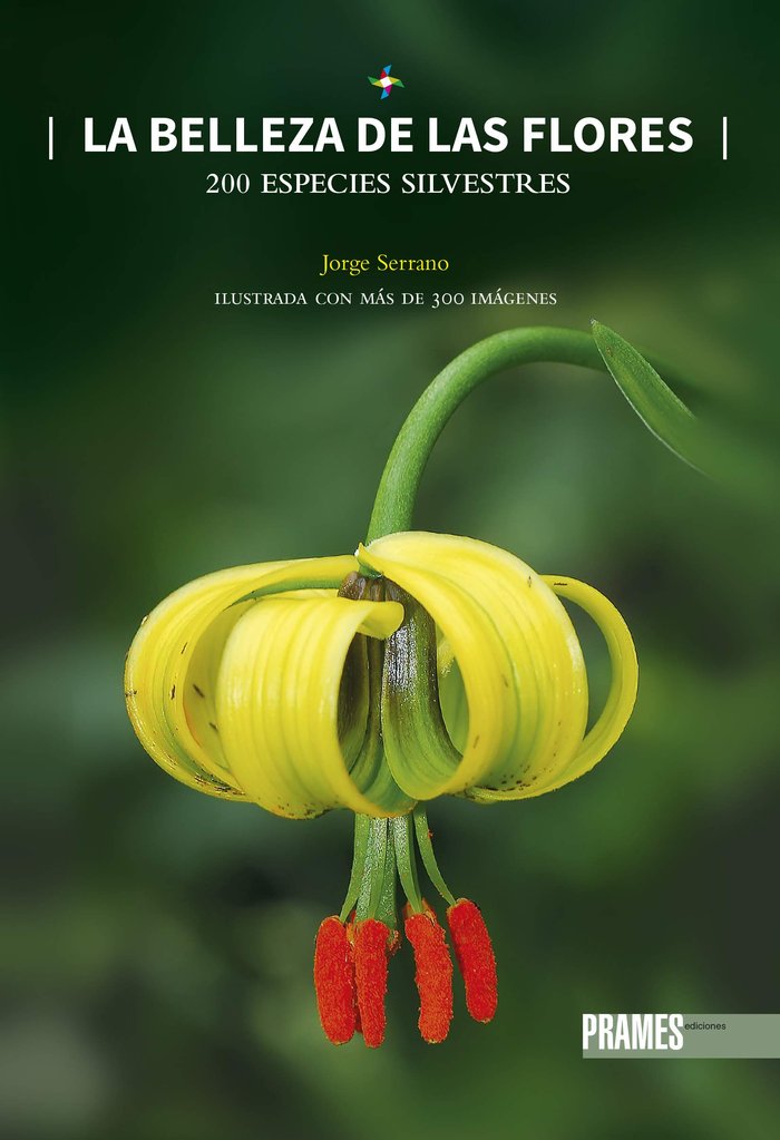 LA BELLEZA DE LAS FLORES, de SERRANO BOLEA | portada del libro