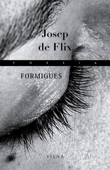 Formigues, de DE FLIX | portada del libro